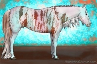 Horse Color:White Spotted Brown Frame Appaloosa Rabicano Brindle