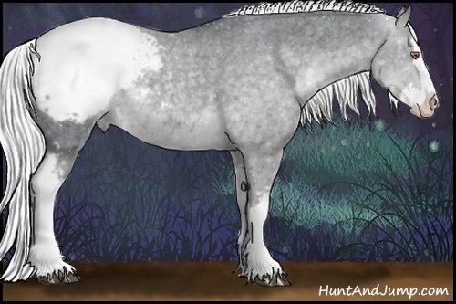 Horse Color:White Spotted Silver Black Chinchilla Splash Appaloosa 