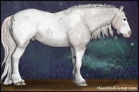Horse Color:White Spotted Silver Black Splash Appaloosa Rabicano 