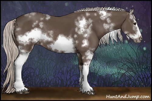 Horse Color:White Spotted Silver Black Frame Rabicano 