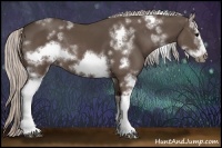 Horse Color:White Spotted Silver Black Frame Rabicano 