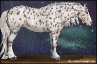 Horse Color:White Spotted Silver Black Sabino Splash Appaloosa Rabicano