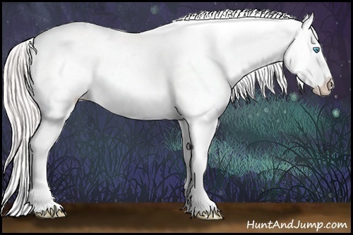 Horse Color:White Spotted Silver Smoky Blue Roan Pearl Appaloosa Rabicano 