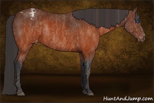 Horse Color:White Spotted Brown Frame Varnish Rabicano  Brindle