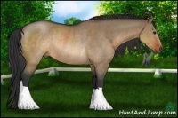 Horse Color:Brown Dun Rabicano