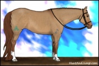 Horse Color:Red Dun 
