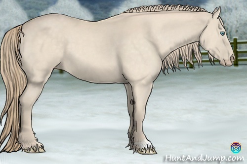 Horse Color:Perlino 