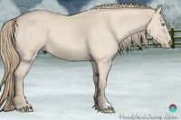 Horse Color:Perlino 