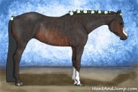 Horse Color:Brown Rabicano  Brindle