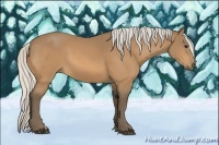 Horse Color:Silver Buckskin
