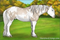 Horse Color:White Spotted Chocolate Palomino Pearl Splash