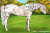 Horse Color:White Spotted Chocolate Palomino Ice Pearl Frame