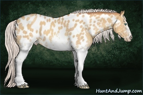 Horse Color:White Spotted Silver Classic Champagne Near Leopard 