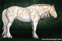 Horse Color:White Spotted Silver Classic Champagne Near Leopard 