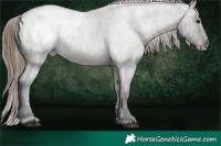 Horse Color:Grullo Roan Snowcap 