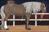 Horse Color:Silver Black