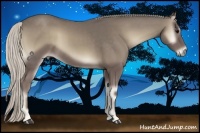 Horse Color:Silver Smoky Blue Onyx