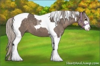 Horse Color:Silver Black Sabino Tobiano