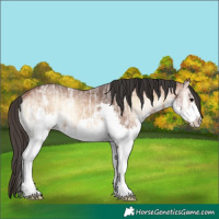 Horse Color:Brown Ice Onyx Sabino Splash