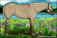 Horse Color:Liver Red Dun 