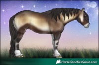 Horse Color:Bay Onyx 