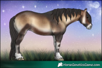 Horse Color:Bay Onyx 