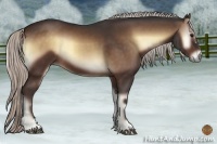 Horse Color:Silver Bay Onyx
