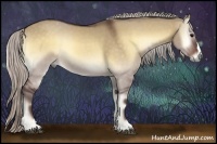Horse Color:Silver Bay Onyx 