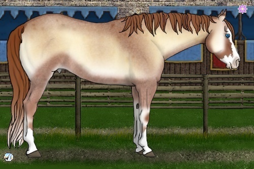 Horse Color:Red Onyx Roan Splash 