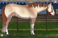 Horse Color:Red Onyx Roan Splash 