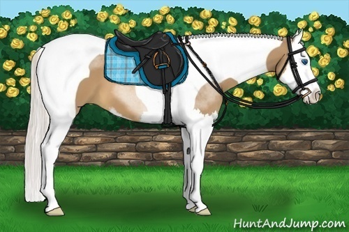 Horse Color:Silver Bay Dun Sabino Splash Tobiano 