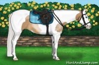 Horse Color:Silver Bay Dun Sabino Splash Tobiano 