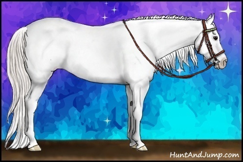 Horse Color:White Spotted Silver Grullo Snowcap
