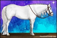 Horse Color:White Spotted Silver Grullo Snowcap