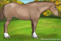 Horse Color:Black Pearl