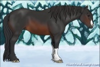 Horse Color:Brown 