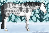 Horse Color:Black Ice Splash 