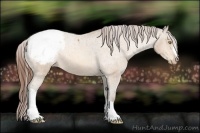Horse Color:Amber Champagne Snowcap 