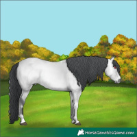 Horse Color:Bay Chinchilla Onyx Mushroom Tobiano 