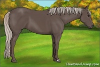 Horse Color:Silver Black 