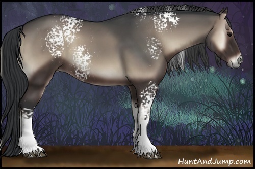 Horse Color:White Spotted Blue Onyx 