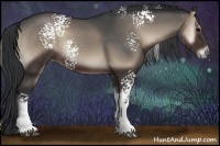 Horse Color:White Spotted Blue Onyx 