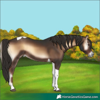 Horse Color:Liver Red Onyx Tobiano 