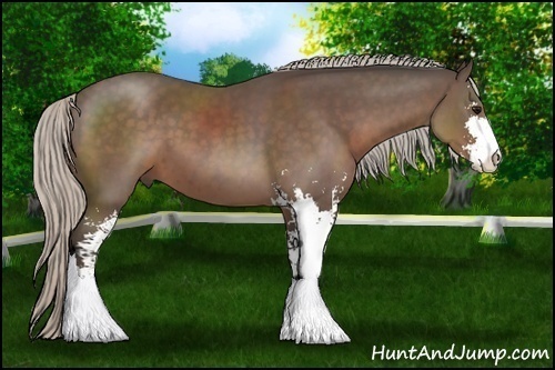 Horse Color:Silver Black Sabino