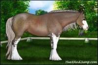 Horse Color:Silver Black Sabino 