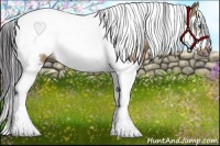 Horse Color:Bay Dun Splash Tobiano Frame