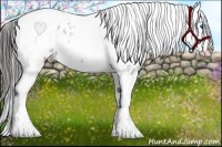 Horse Color:White Spotted Grullo Splash Tobiano Appaloosa