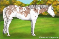 Horse Color:White Spotted Silver Bay Ice Splash