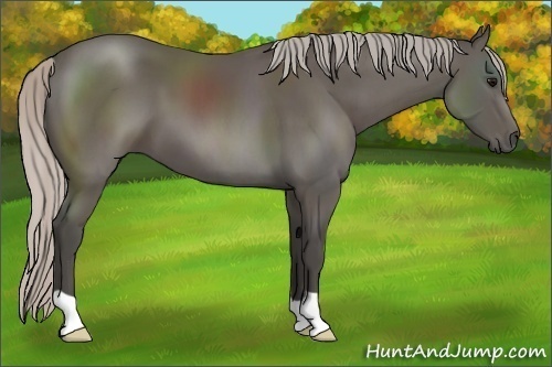 Horse Color:Silver Black 