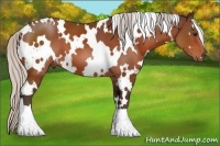 Horse Color:White Spotted Silver Bay 
